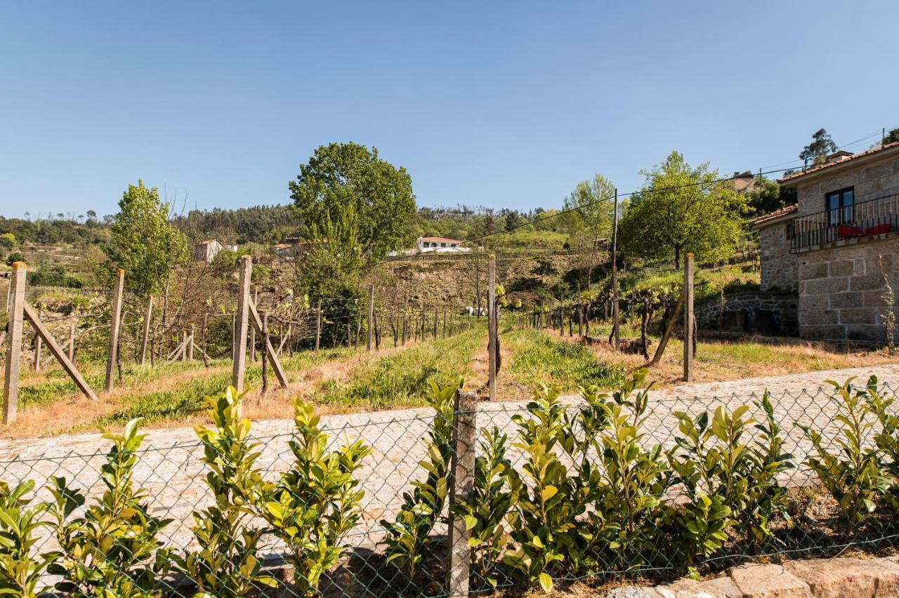 Willa Partezins I Castelo de Paiva Zewnętrze zdjęcie